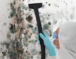 Best Biohazard Mold Removal  in USA